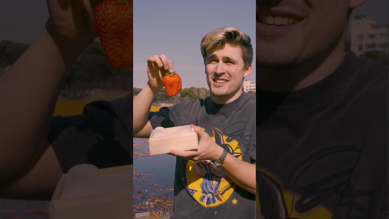 The Most Expensive Strawberry in the World