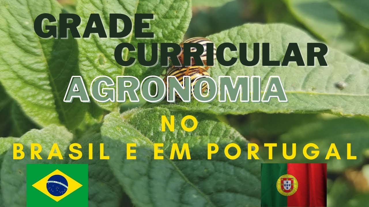 MATÉRIAS DO CURSO DE AGRONOMIA- DIFERENÇAS BRASIL X PORTUGAL