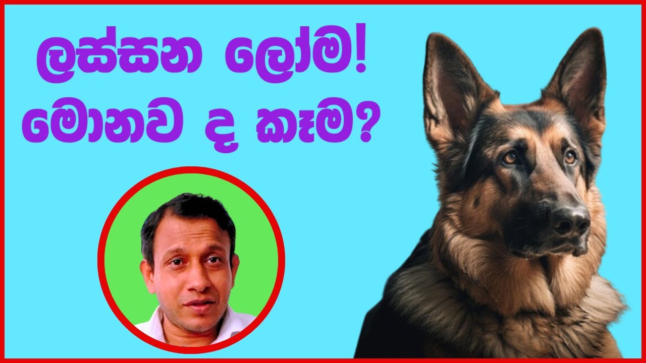 බවවගේ කෑම වලට මේ දේවල් එකතු කරන්න... සති කිහිපයකින් ලස්සන ලෝම...