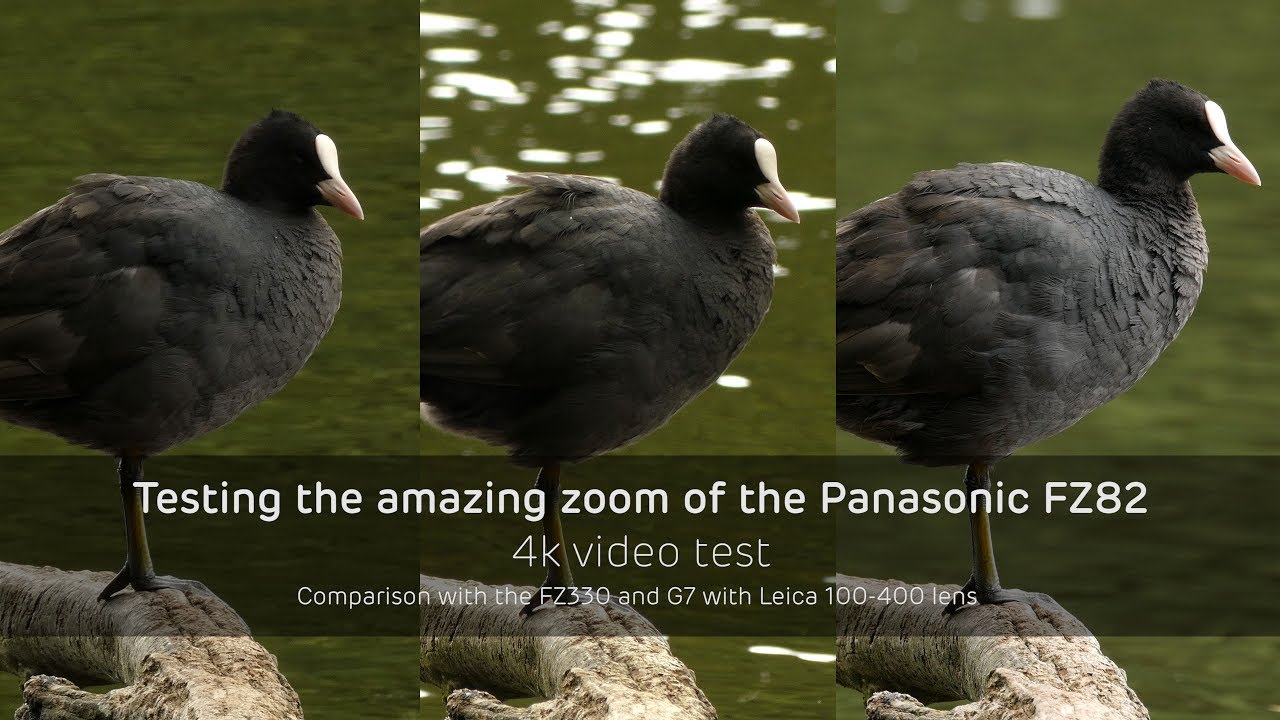 Testing the amazing zoom of the Panasonic FZ82 – 4k video comparison with the FZ330 and G7