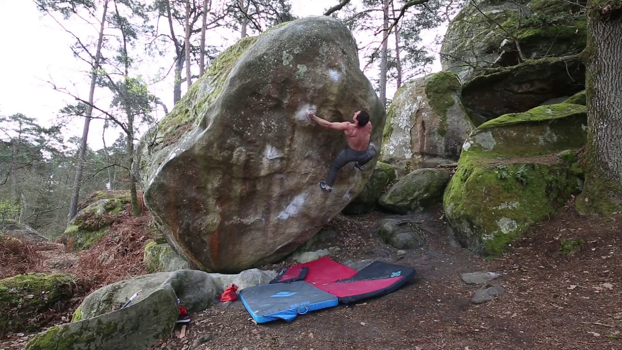BD Athlete Carlo Traversi: Gecko Assis 8B+