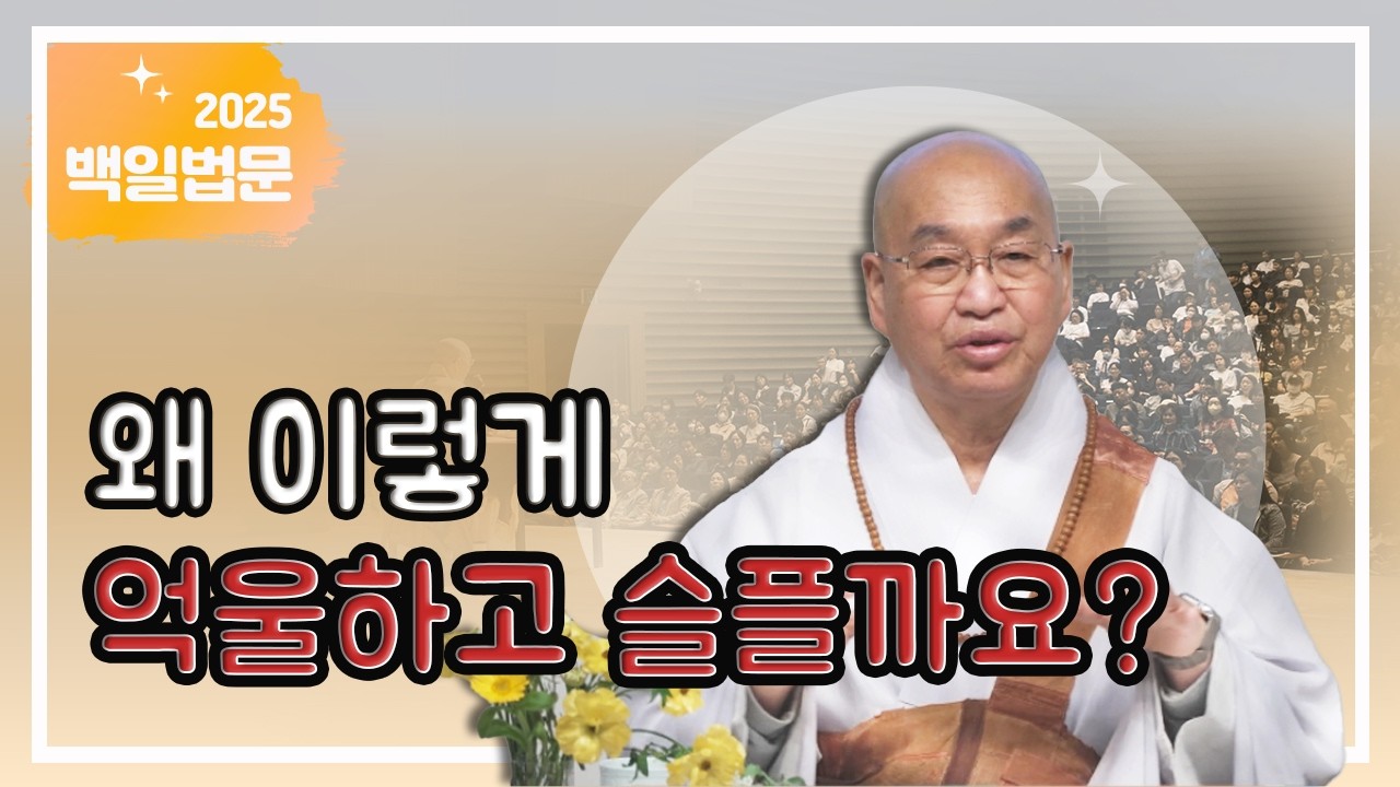왜 이렇게 억울하고 슬플까요?