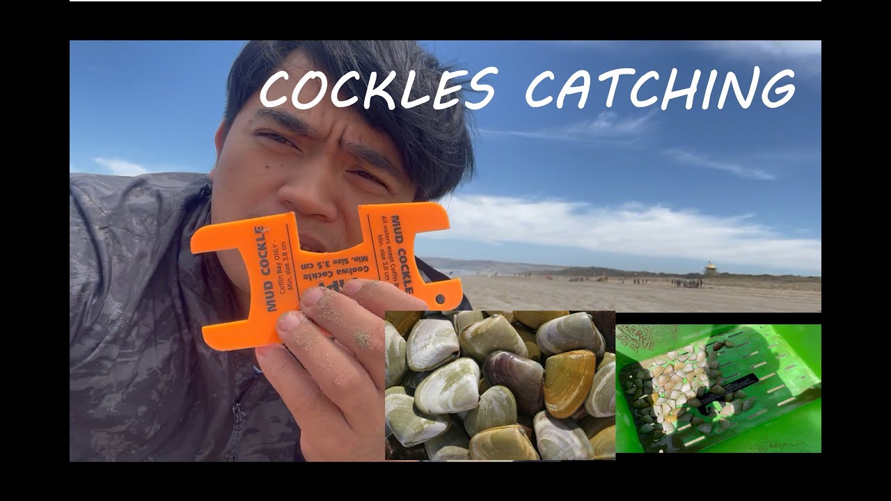 CATCHING PIPIS the FUN WAY