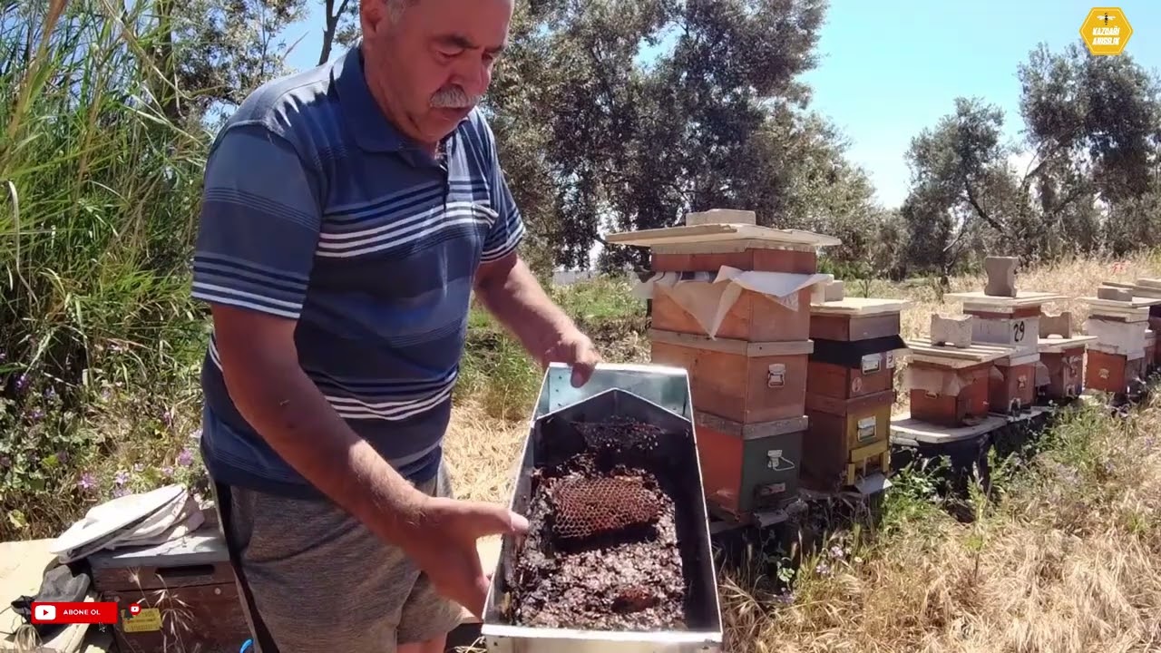 Petek Eritmenin En Kolay Yolu. Basit ama muhteşem Yöntem