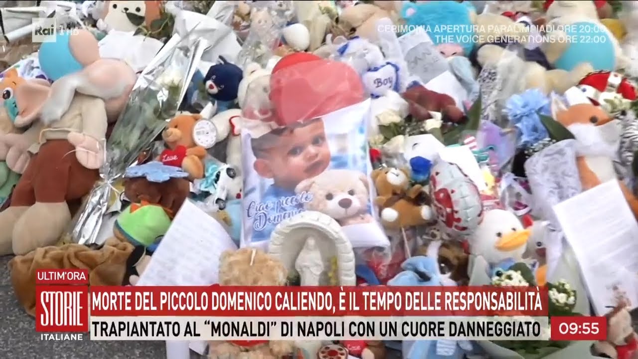 Morte del piccolo Domenico, è il tempo delle responsabilità - Storie italiane 06/03/2026