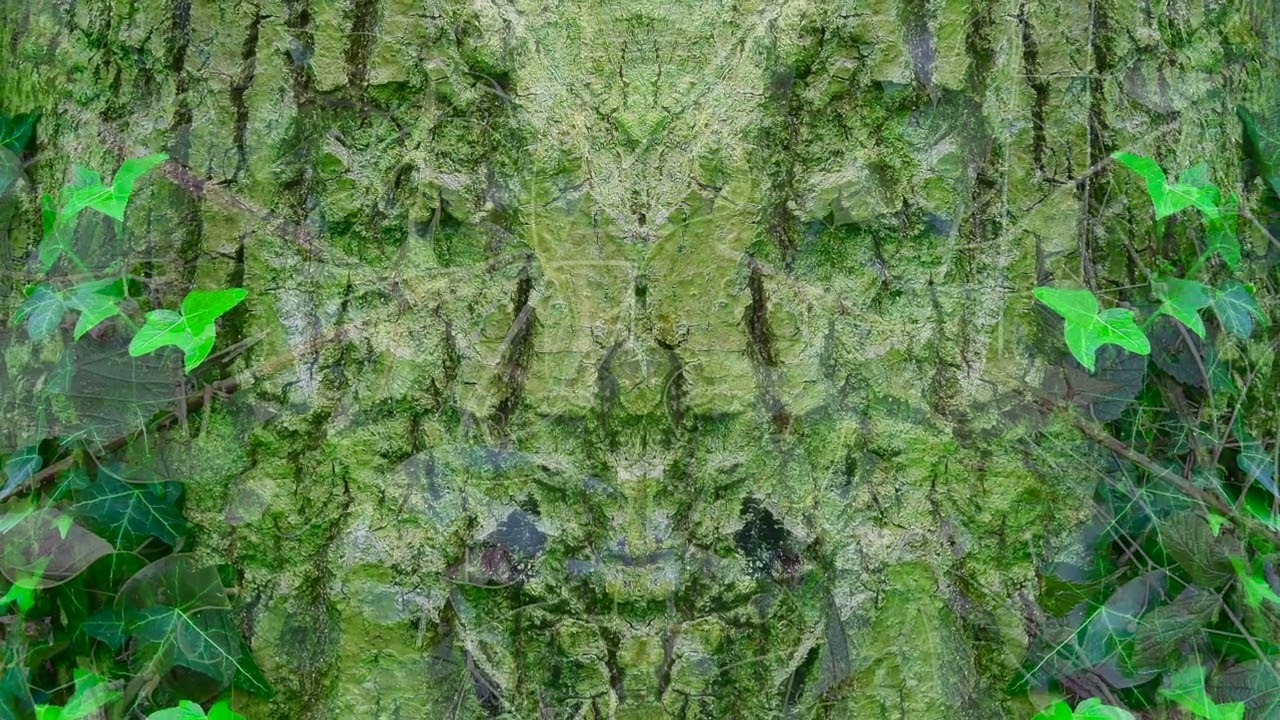 11.  Oolerinna - Weaselkin