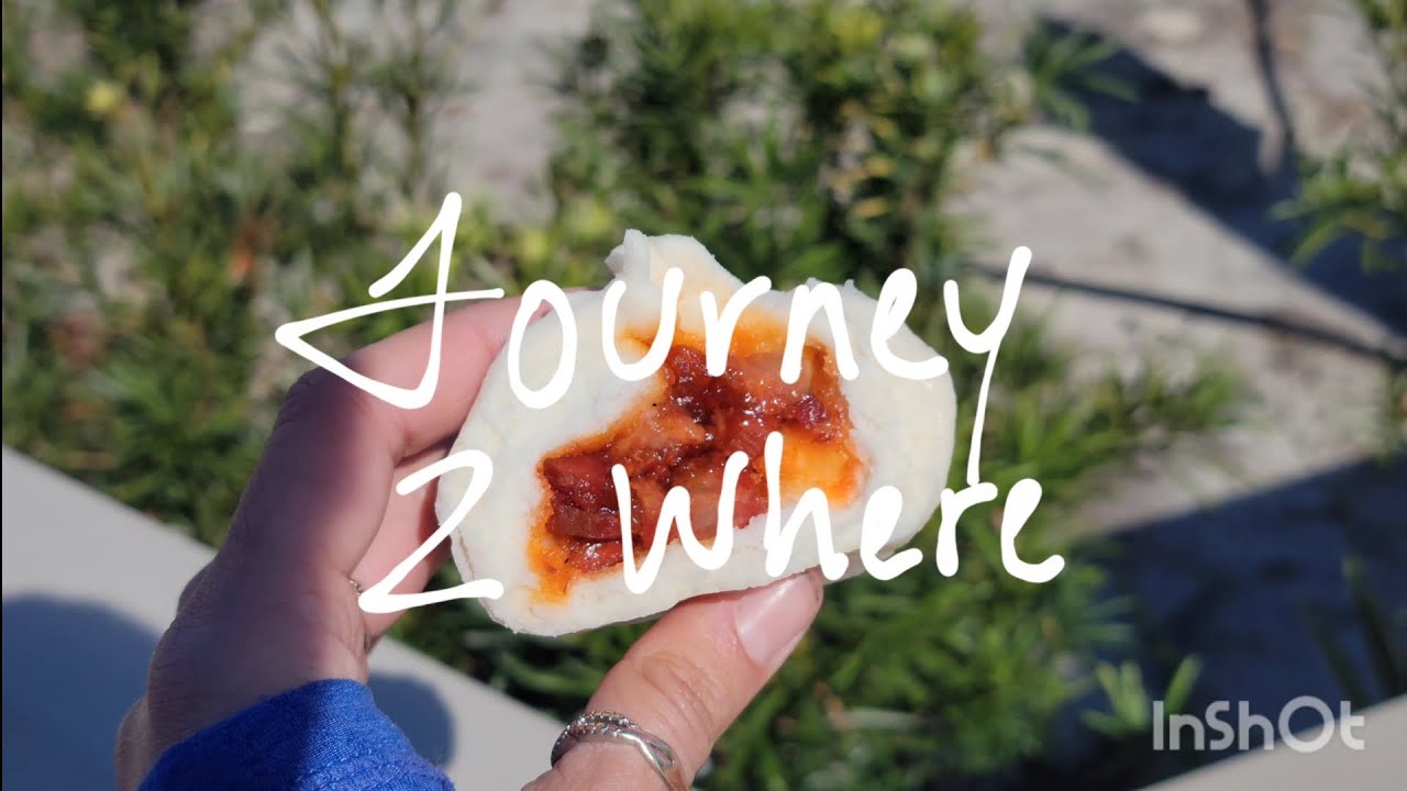 Journey to a bao coma