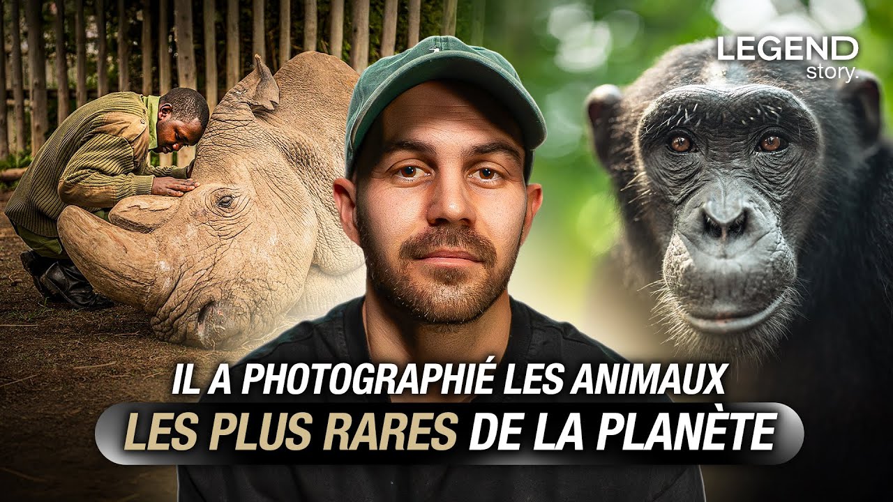 TRIBUS C*NNIBALES, CHIMPANZ&Eacute;S, LIONS&hellip; IL PHOTOGRAPHIE DES MOMENTS ET DES ANIMAUX RARISSIMES