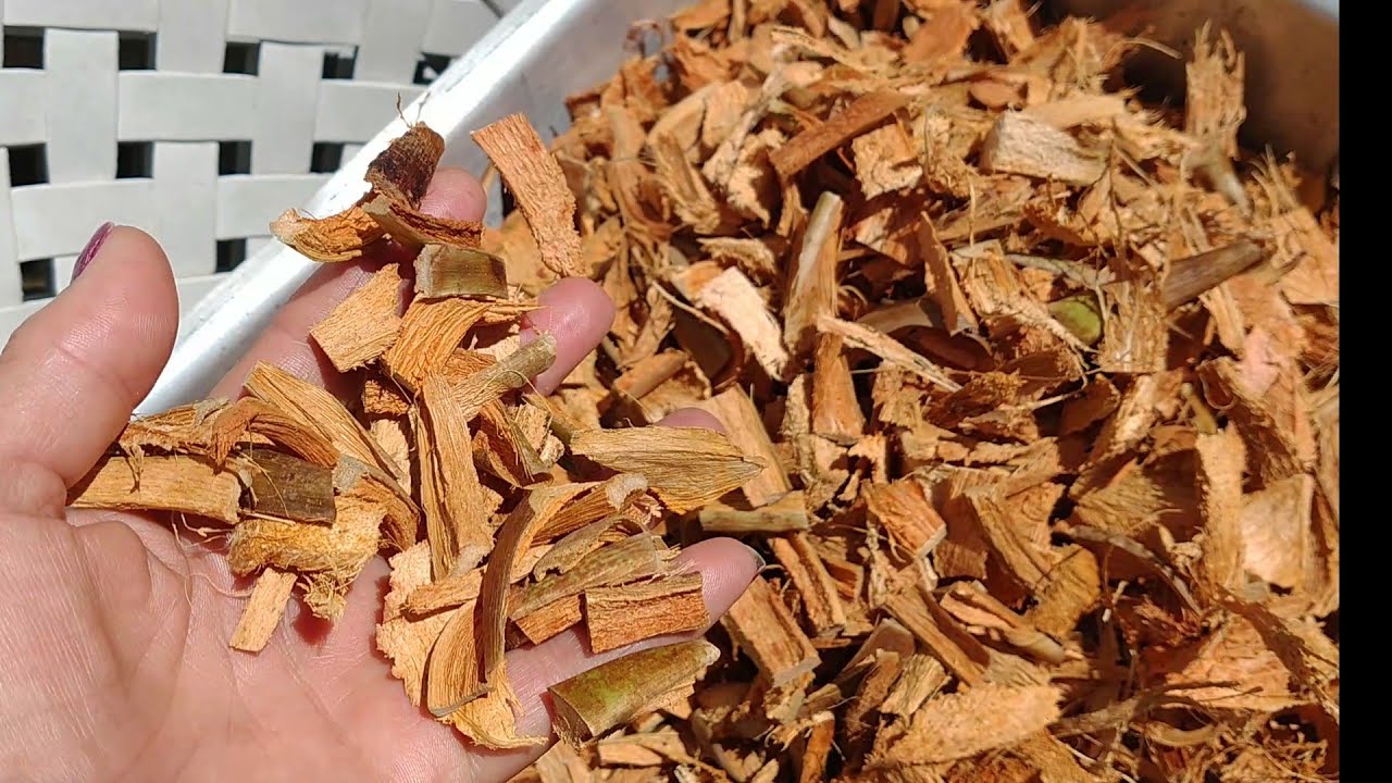 Como preparar fibra de côco para orquídeas