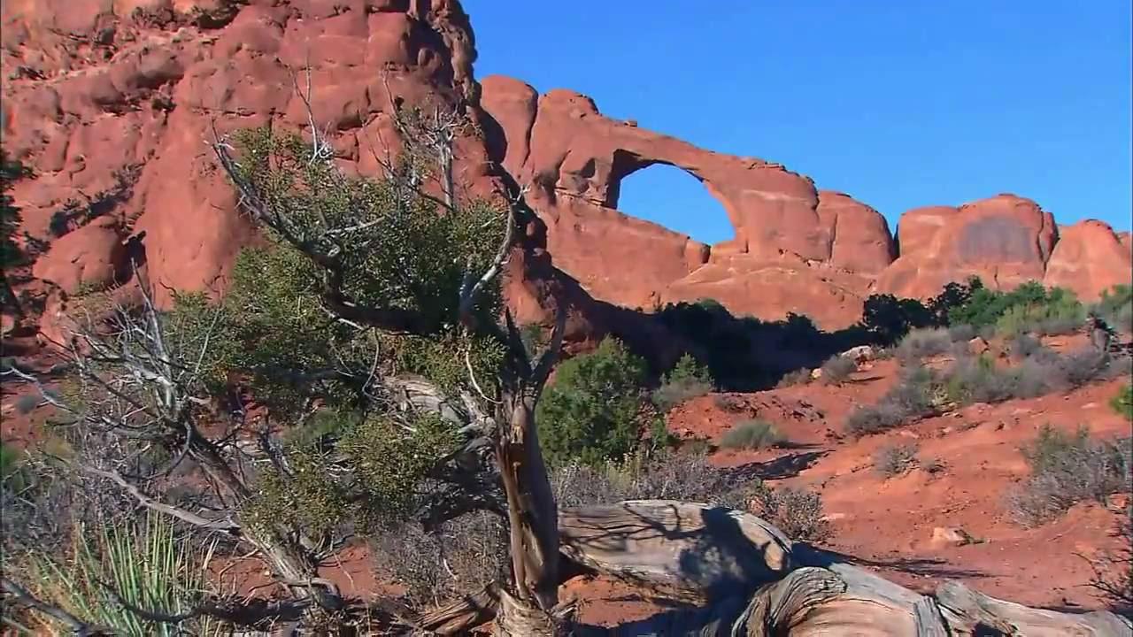 (HD 720p) 