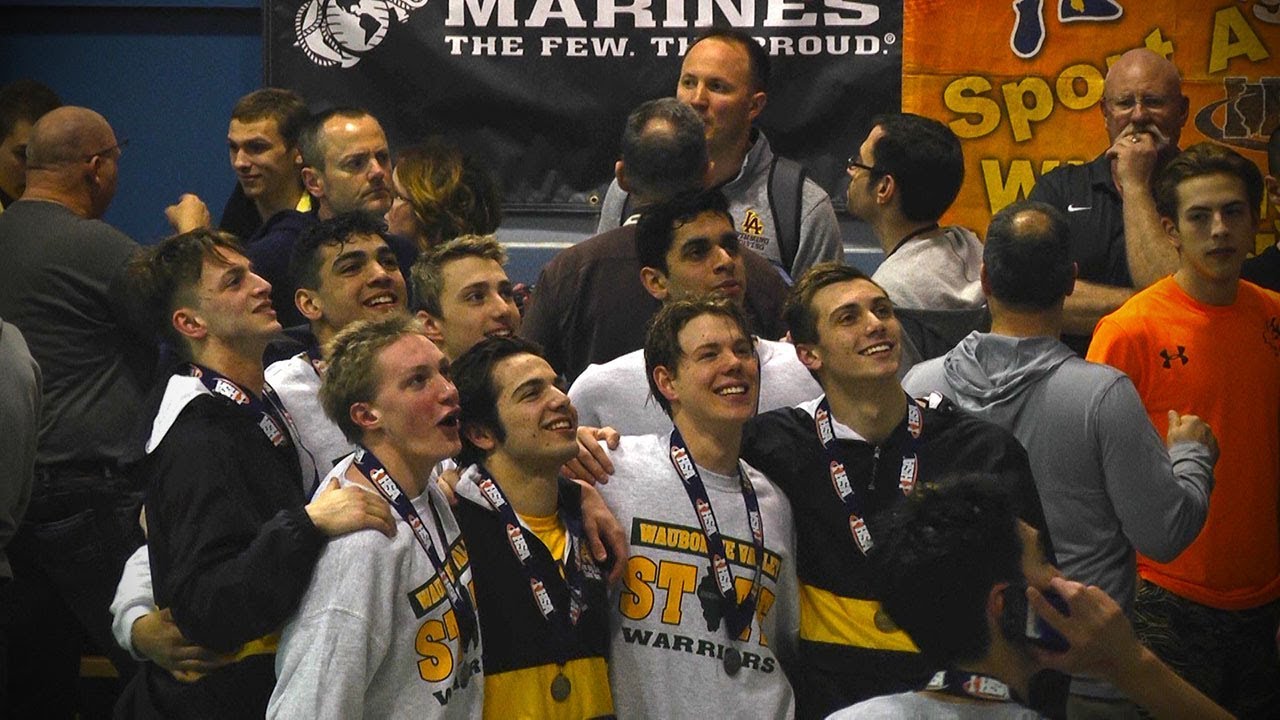 IHSA Boys State Swimming Meet
