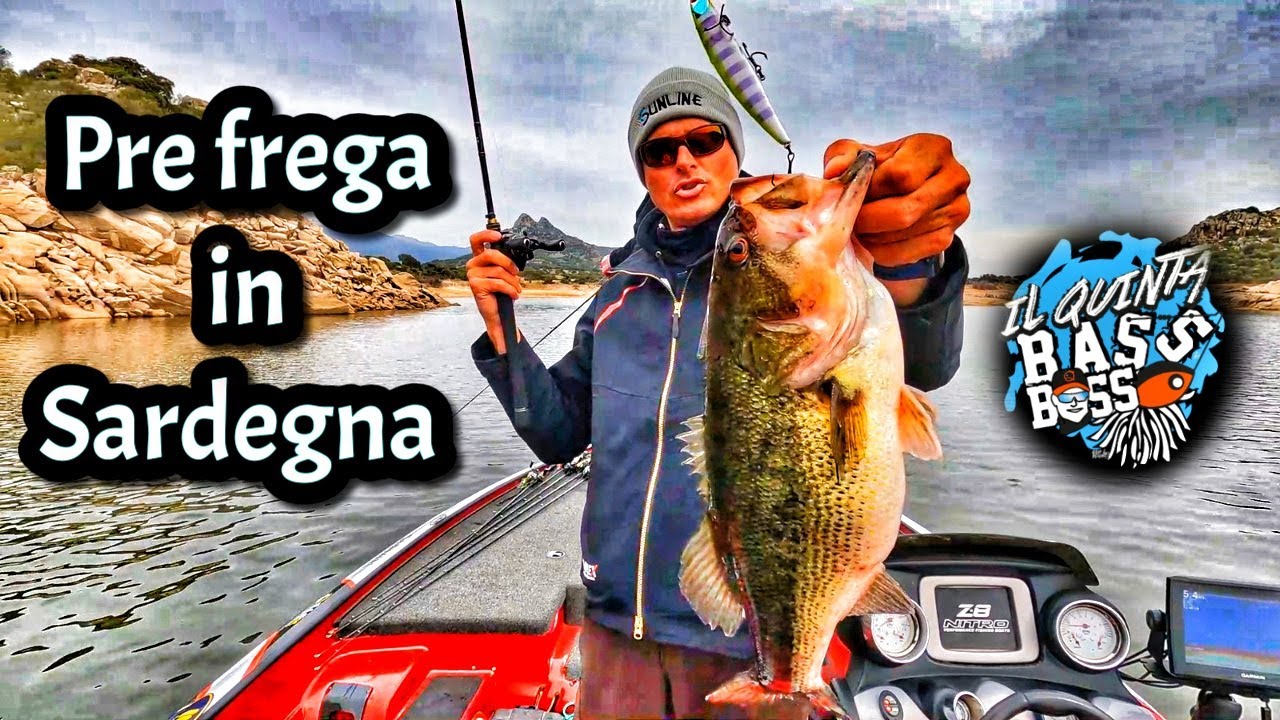 PESCA AL BLACK BASS - A Bass col Quinta - Pre Frega in Sardegna - Lago Coghinas