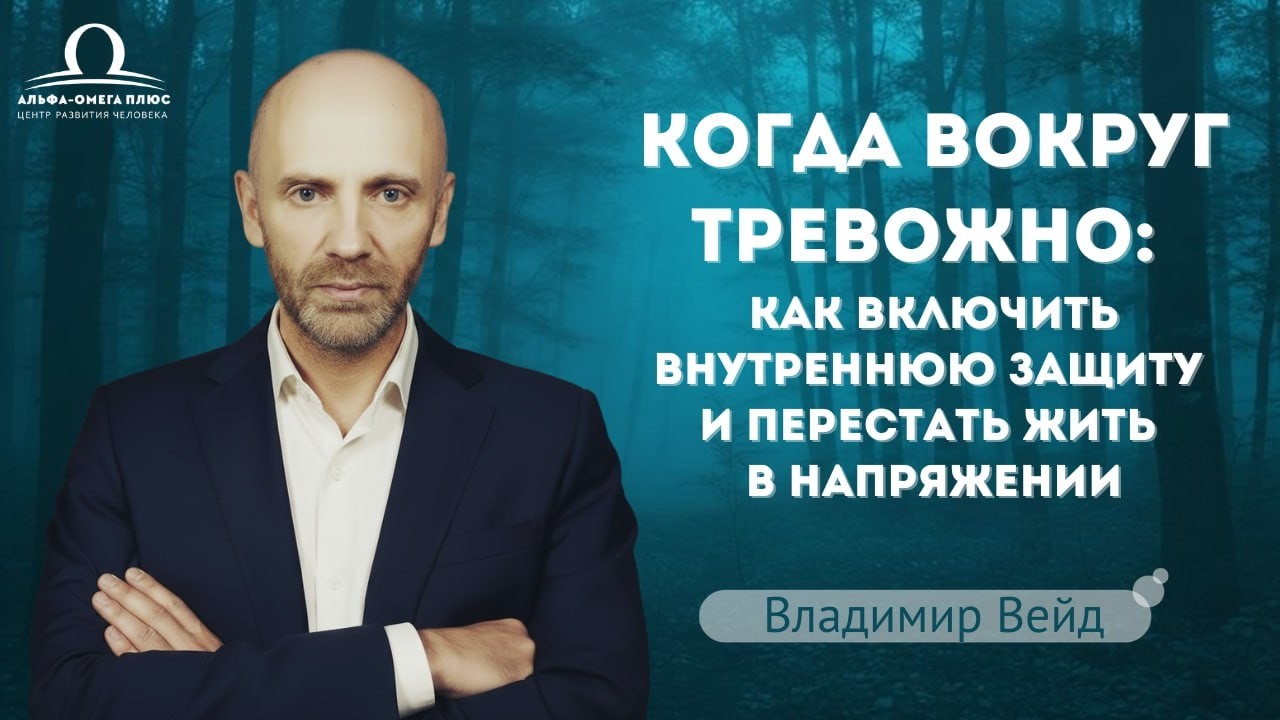 Когда вокруг тревожно: как включить внутреннюю защиту и перестать жить в напряжении / Владимир Вейд