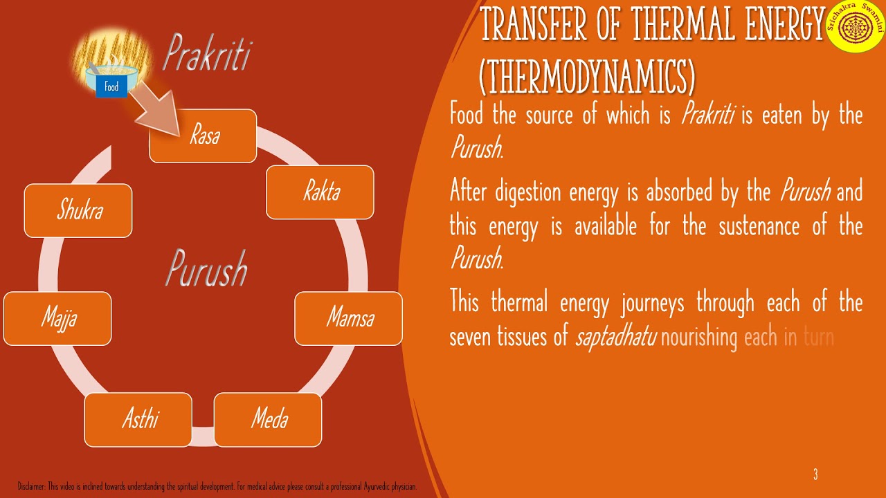Saptadhatu and energy - Nirvana Shatkam निर्वाणषट्कम् 2