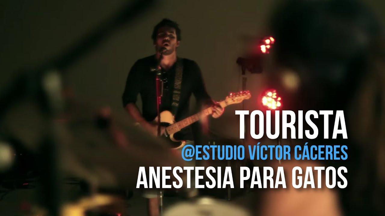 playlizt.pe - Tourista -  Anestesia para gatos