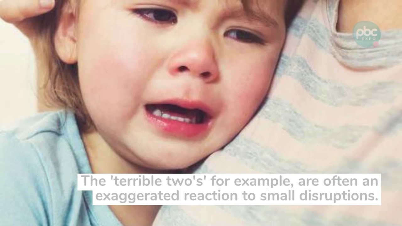 Recognising and supporting sensitive periods in your child&rsquo;s development