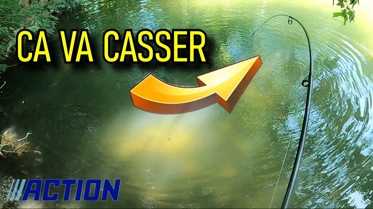 TEST CANNE A PECHE ACTION A 9€ SUR GROS POISSON
