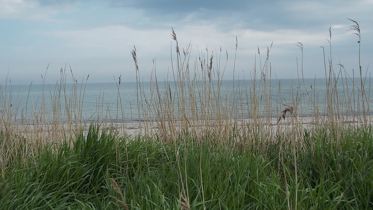 FÖRDESTEIG Wandern Ostsee von Flensburg nach Kappeln, 3. und letzte Teil | Fjordclimb hike Balticsea