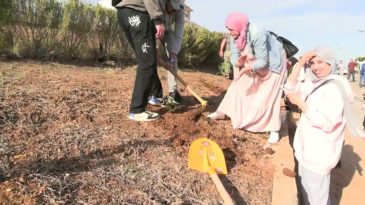 حملة التشجير بجامعة تيبازة بمشاركة الأسرة الجامعية