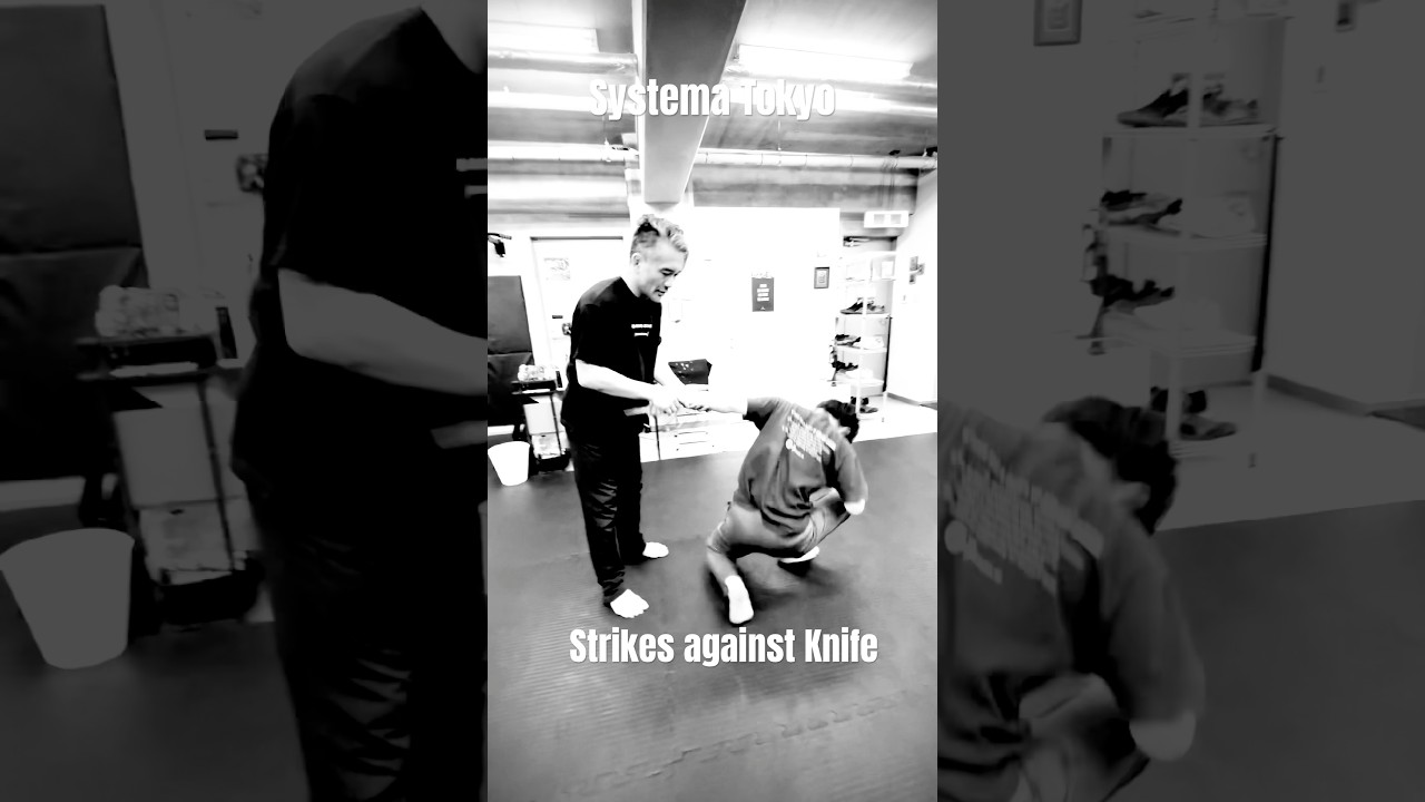 ナイフをストライクで迎撃する　#systema #systemaryabko #システマ東京 #システマ