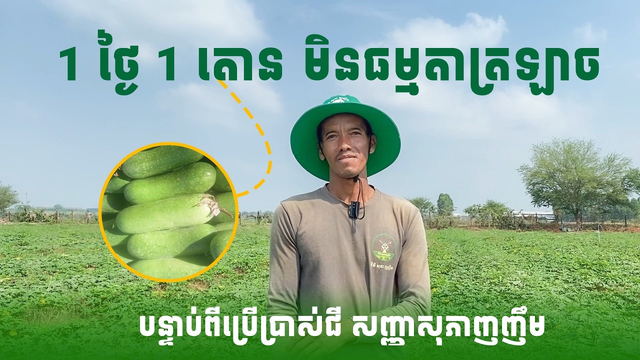 ត្រឡាច ១ថ្ងៃ ១តោន