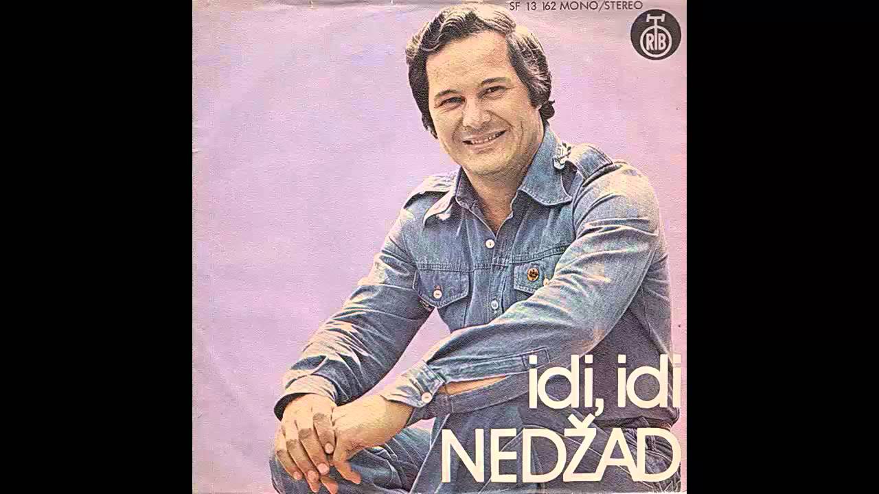 Nedzad Salkovic - Idi idi - (Audio 1976)