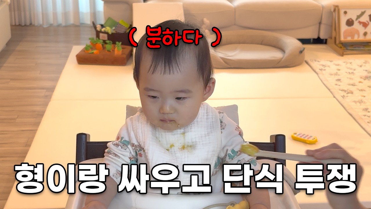 그만싸우자! ㅣ 반려동물동반 식당추천 ㅣ 형제싸움 ㅣ 떡벙도둑