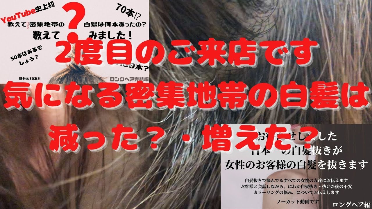 【白髪抜き動画】さとみさん動画、2度目の来店です！気になる密集地帯の白髪はあれから増えた？減った？