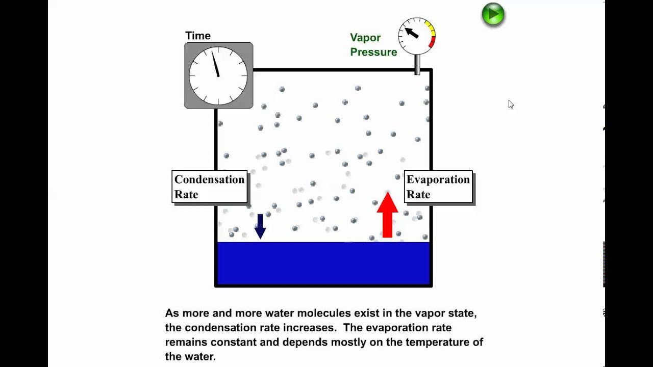 Vapor Pressure, Equilibrium Vapor Pressure, and Relative Humidity