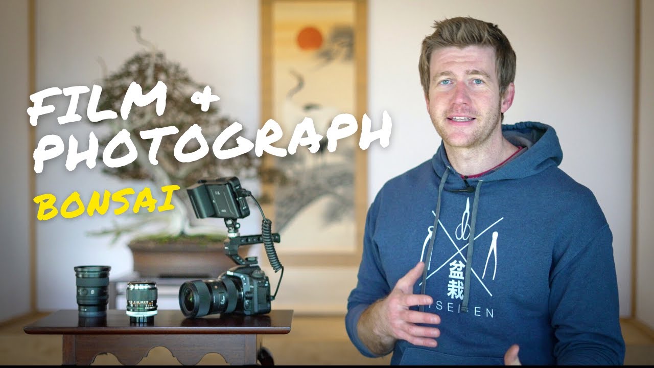 Как я снимаю и фотографирую бонсай