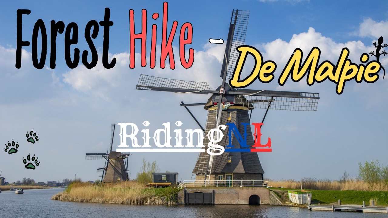 - 10 -Netherlands Walking by the forest - Ambience Sound -4k- ASMR  - De Malpie - NoordBrabant