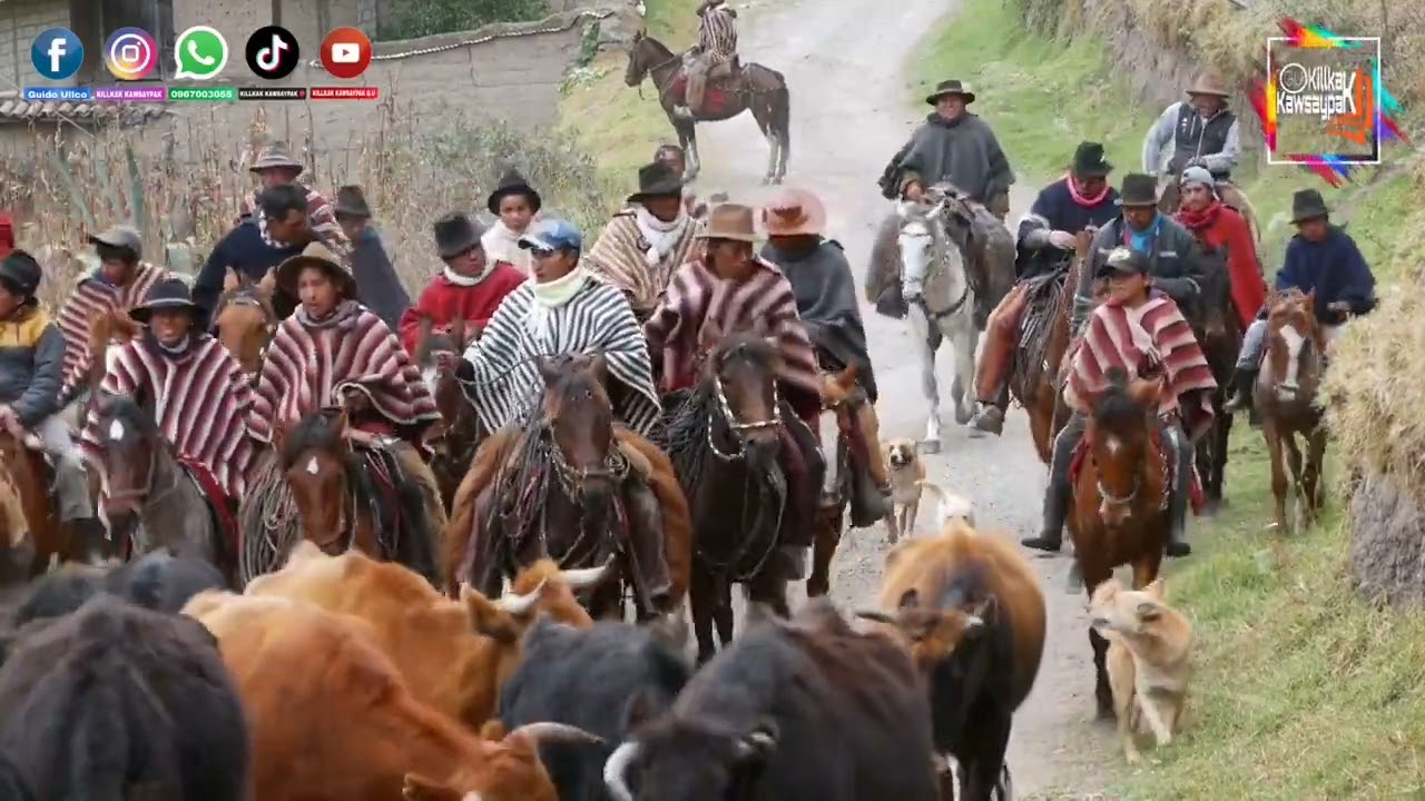 POSTALES DE  ANGAMARCA