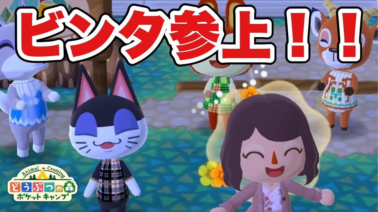 【ポケ森】大好きなビンタが来たーーーー！！！【どうぶつの森ポケットキャンプ】