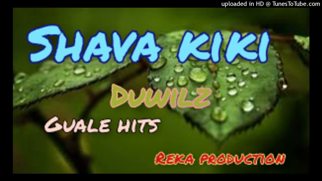 Shava kiki