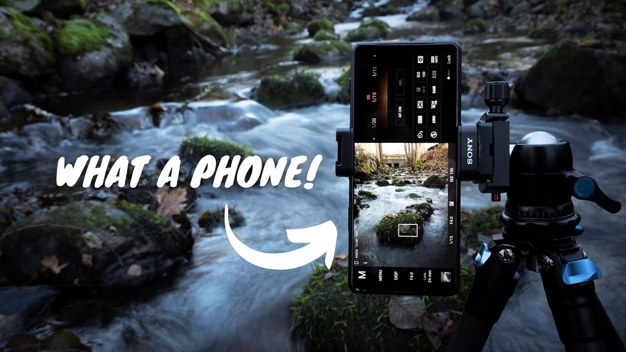 Xperia PRO-I В поле — Фотосъемка природы