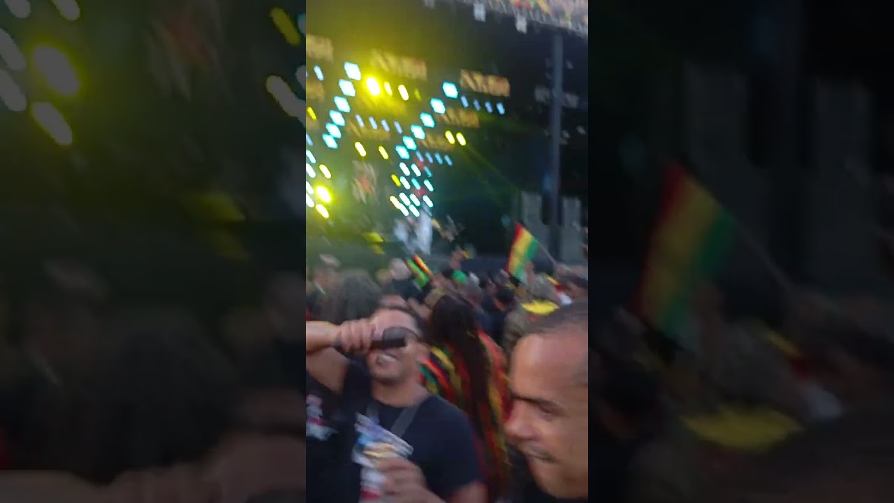 República do Reggae 2025, Edy vox