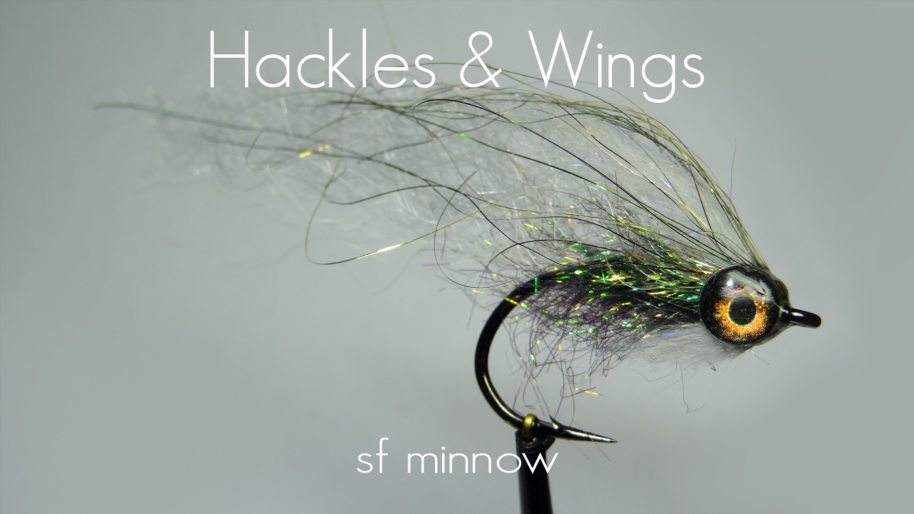 Fly Tying SF Minnow | Hackles & Wings