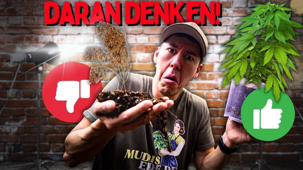 Nur so w&auml;chst Dein Gras optimal 😱 richtig oder falsch?  Der perfekte pH-Wert f&uuml;r den Anbau!