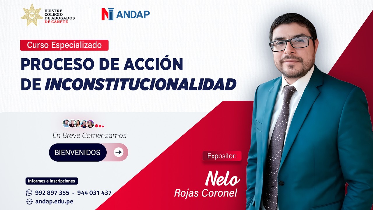 PROCESO ACCIÓN DE INCONSTITUCIONALIDAD