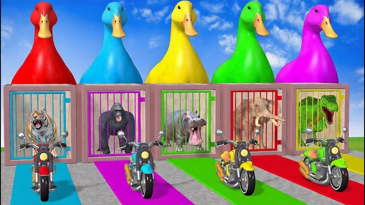 Long Slide Game with Cow, Elephant, Gorilla, Hippopotamus 3d Animal tiger Animal 3D HD