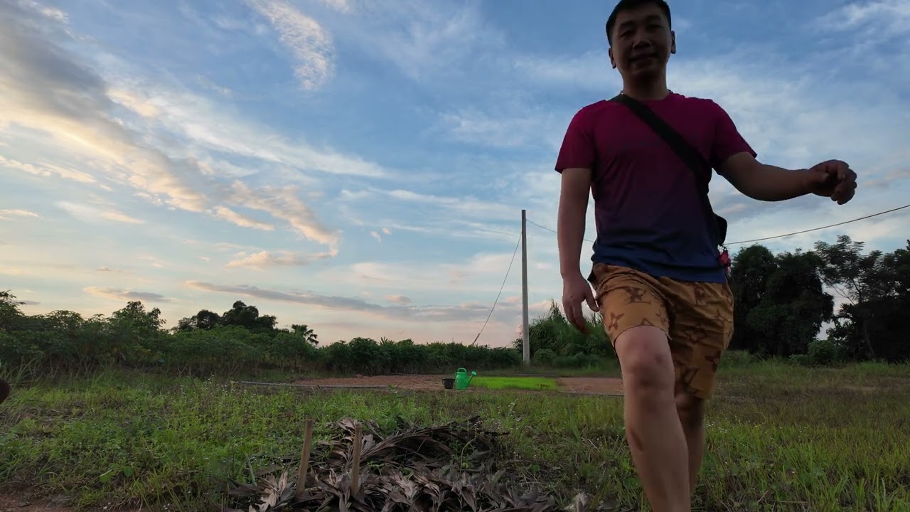 Chuẩn Bị Chim ngói
