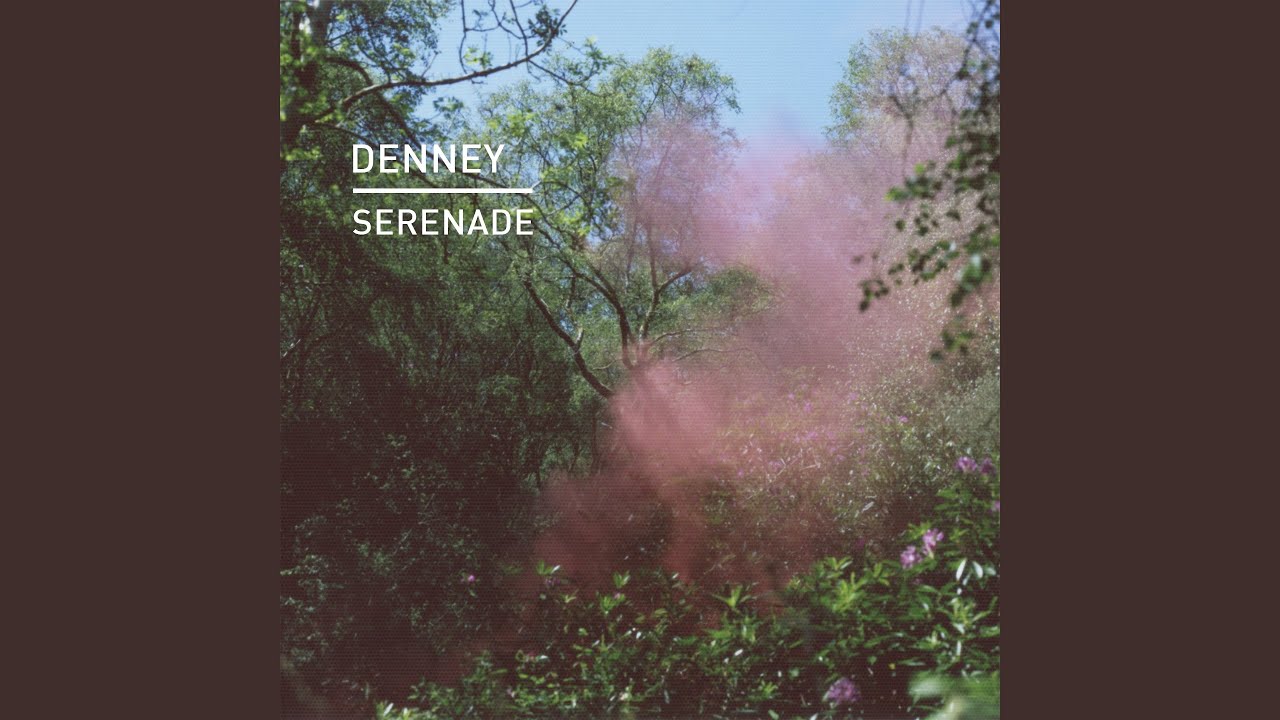 Serenade (Bushwacka Remix)