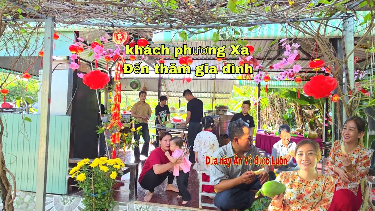 Lần Đầu Nguyễn Mới Biết Loại Dừa Này Ăn Được Cả Vỏ_Mùng 2 Đón Khách Hải Phòng Đến Thăm/NHMT