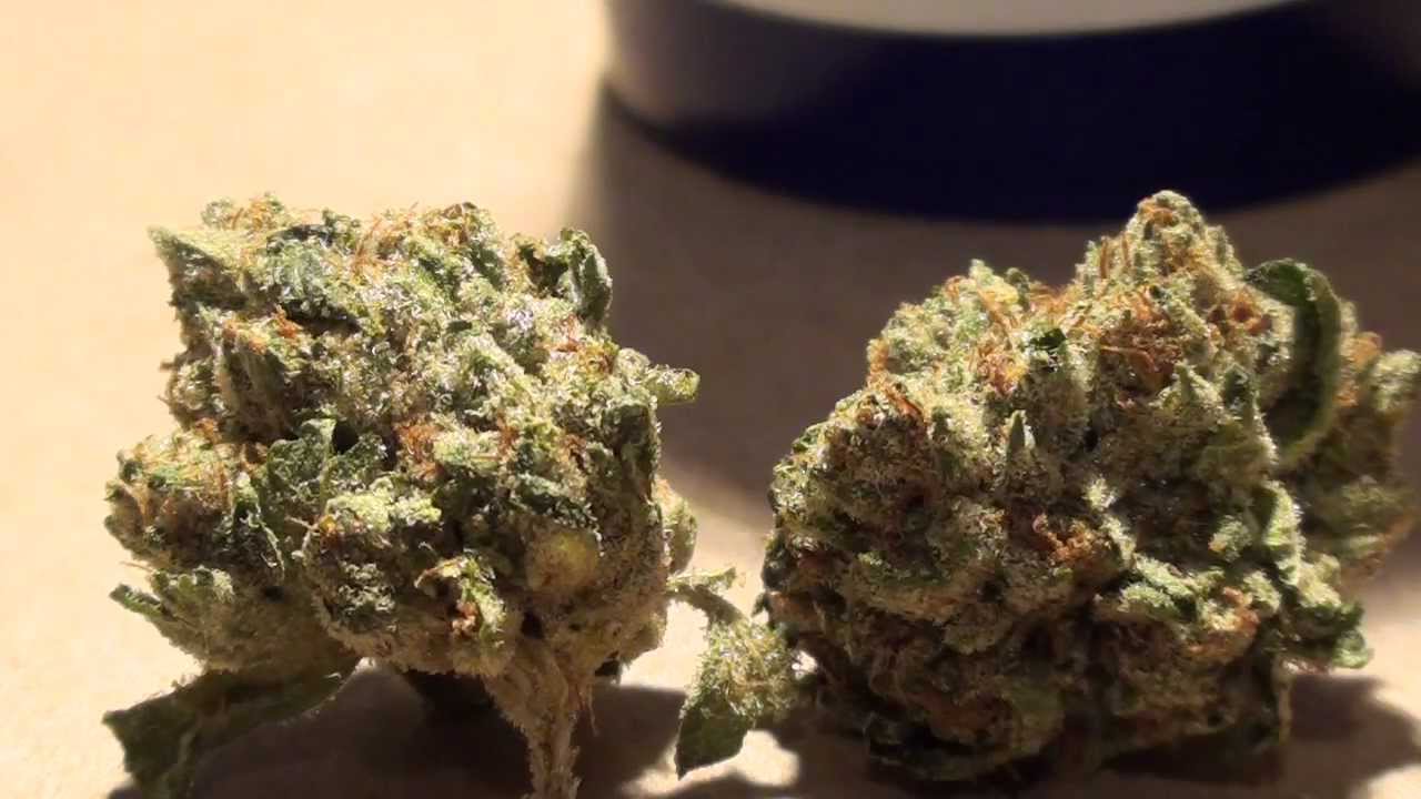 Vader OG Strain Review