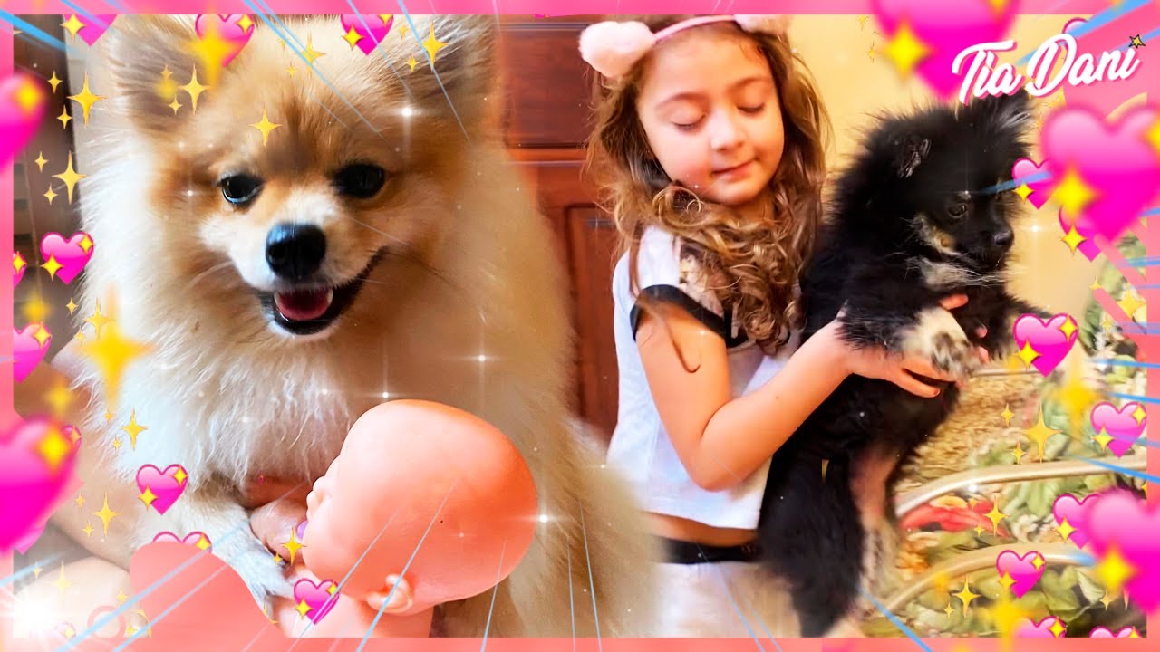 A BELINHA FOI VISITAR SUA PRIMA