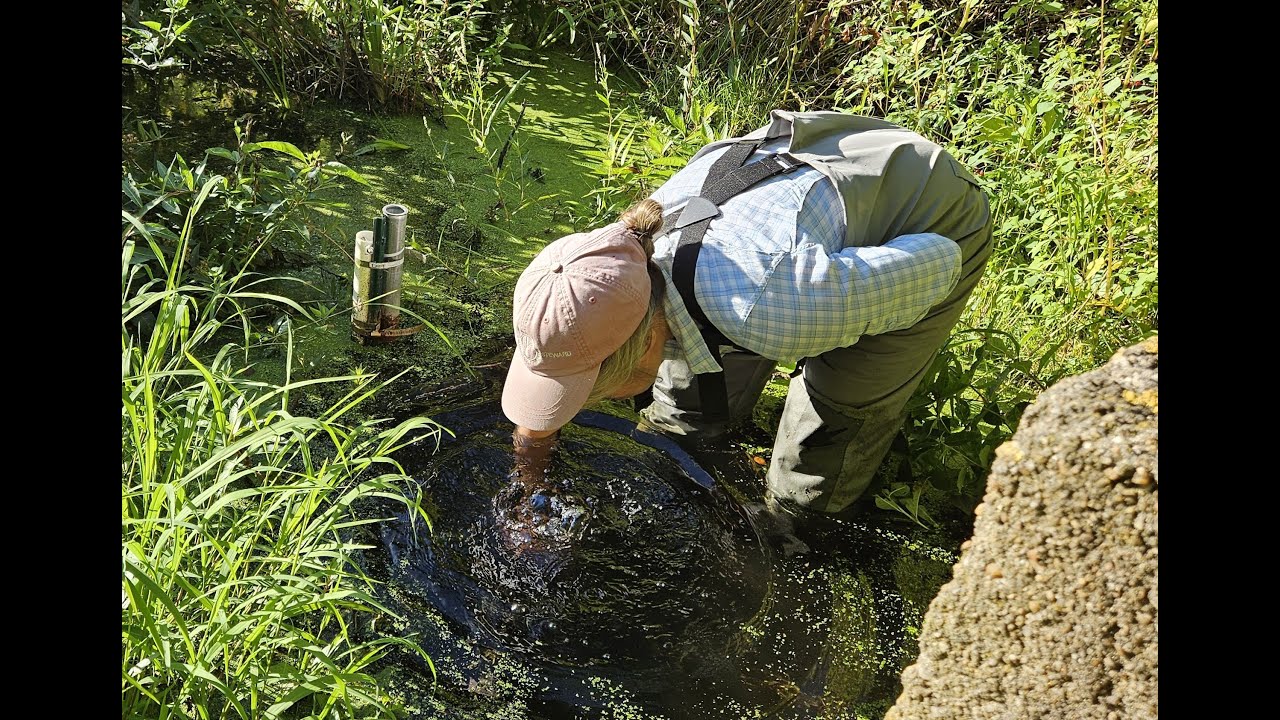 Coastal Water Quality Trends with Sarah Griscom