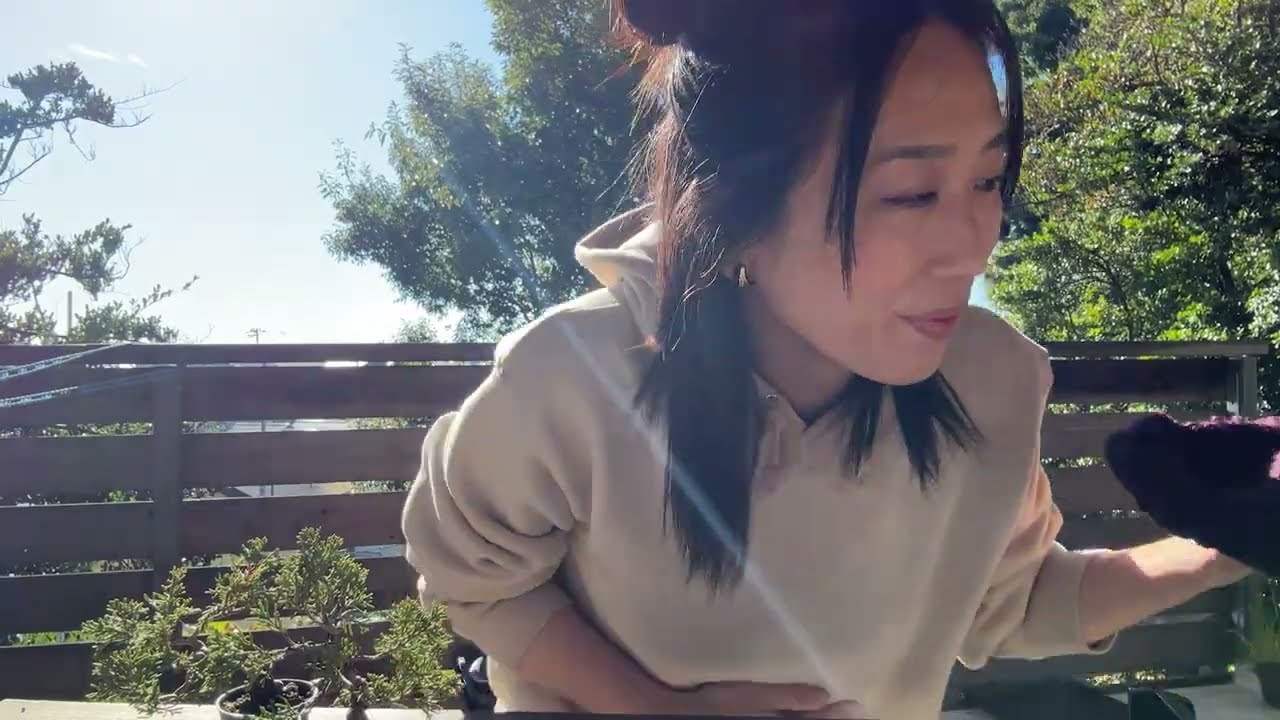 シンパクのお手入れ（模様木Ver.）