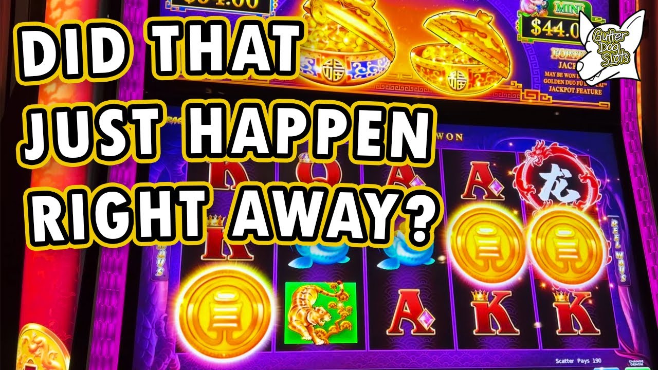 Did That Just Happen Right Away? - Tree of Wealth and Duo Fu Duo Cai Dragons