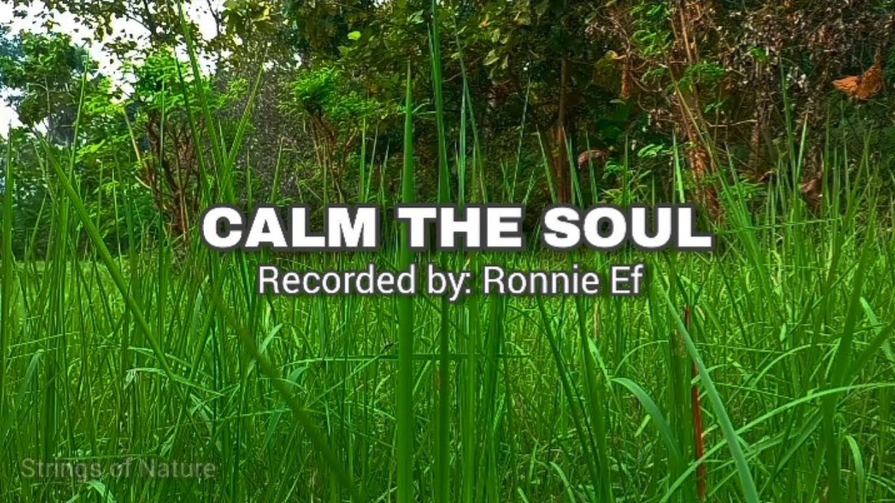 Relaxing Guitar Music in the Grass – Calm the Soul & Let Go of Stress 🌿🎸 @NaturaMinds