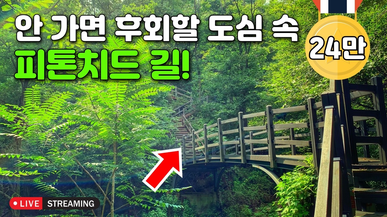 [라이브소통] 서울에 숨겨진 산림청 지정 명숲 100선에 오른 '5km' 트레킹 코스 | 대중교통 당일치기 여행
